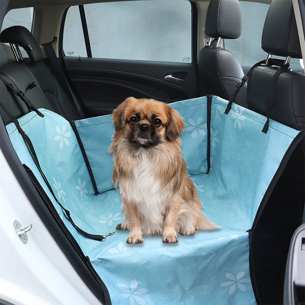 PawPlanet™ Ridi – Rücksitzplatz