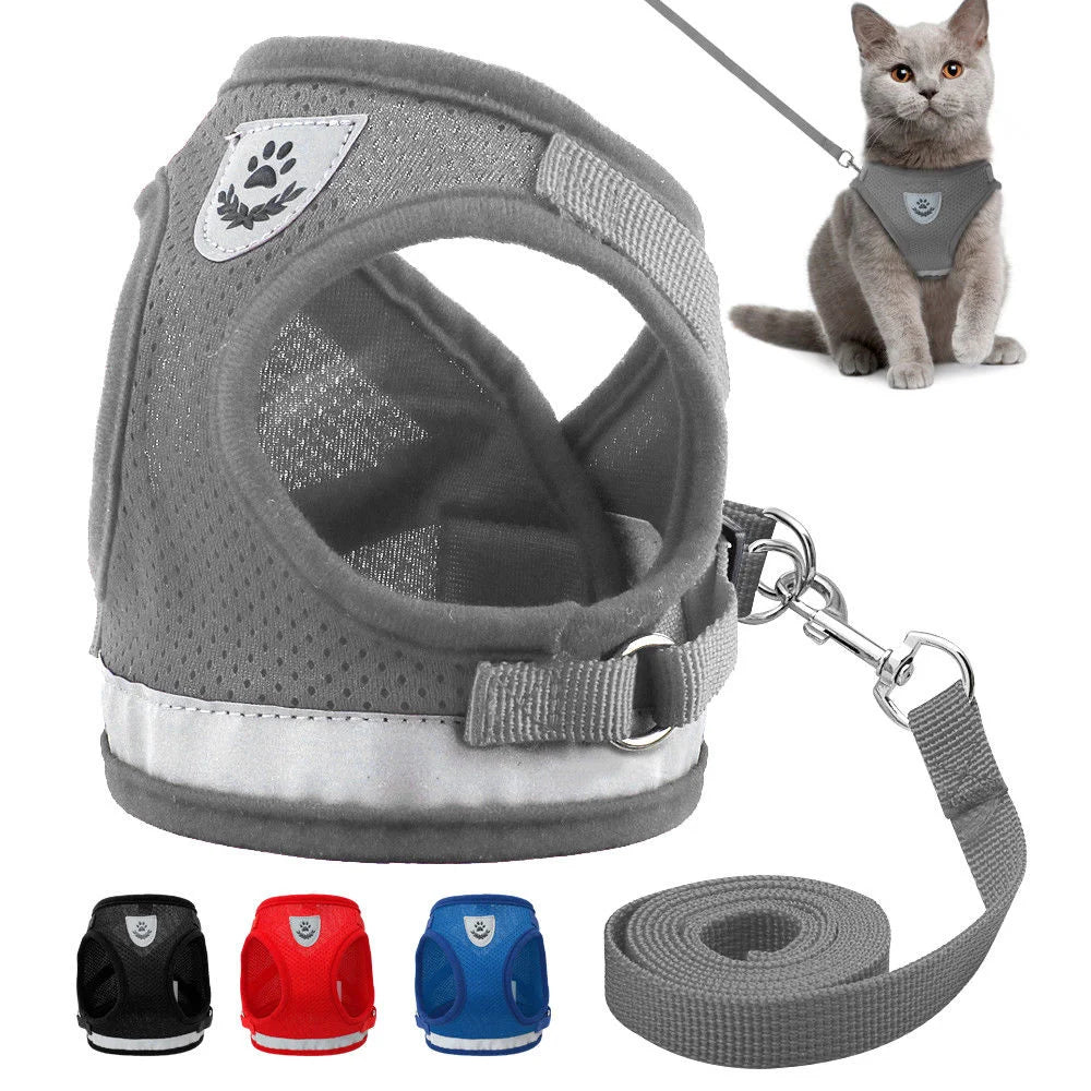 PawPlanet™ SoftGuard – Reflektierendes Geschirr mit Leine für kleine Hunde & Katzen