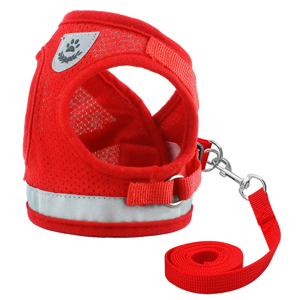 PawPlanet™ SoftGuard – Reflektierendes Geschirr mit Leine für kleine Hunde & Katzen