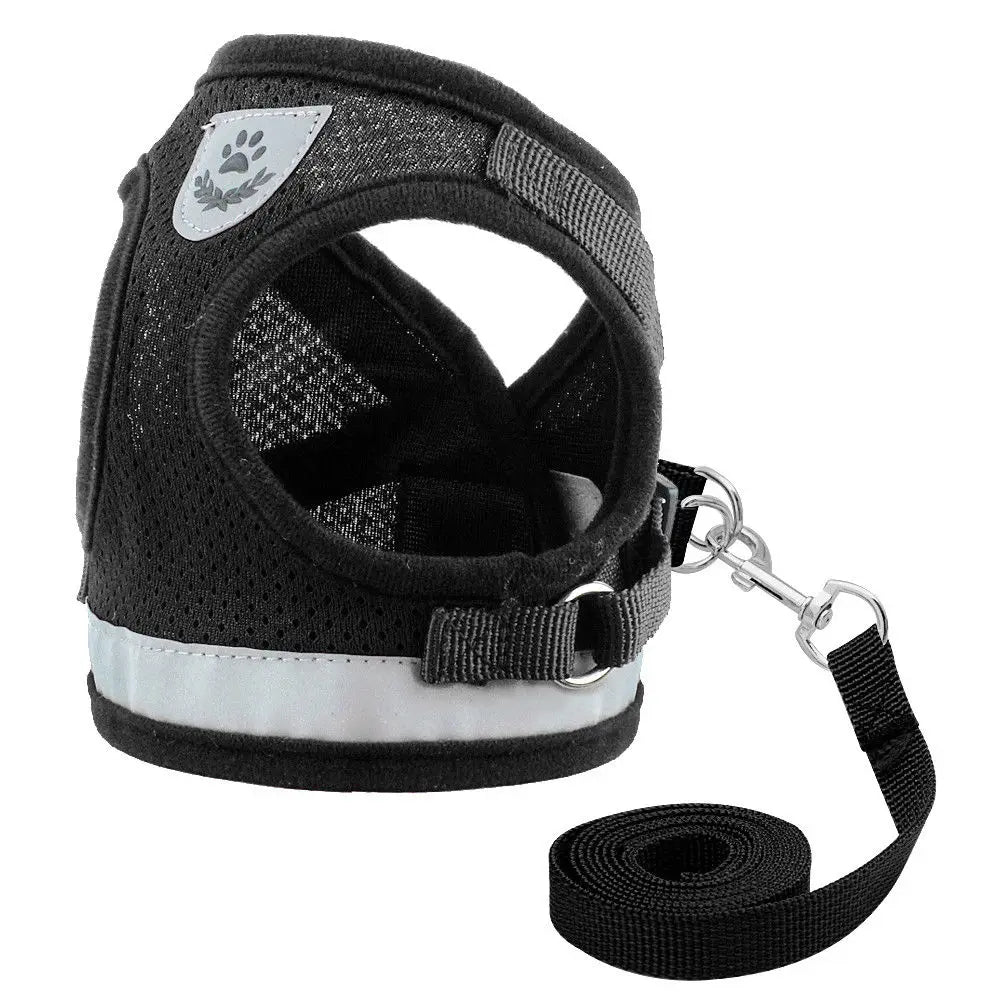 PawPlanet™ SoftGuard – Reflektierendes Geschirr mit Leine für kleine Hunde & Katzen