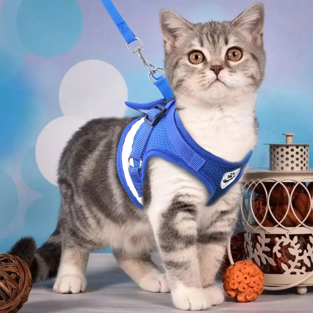 PawPlanet™ SoftGuard – Reflektierendes Geschirr mit Leine für kleine Hunde & Katzen