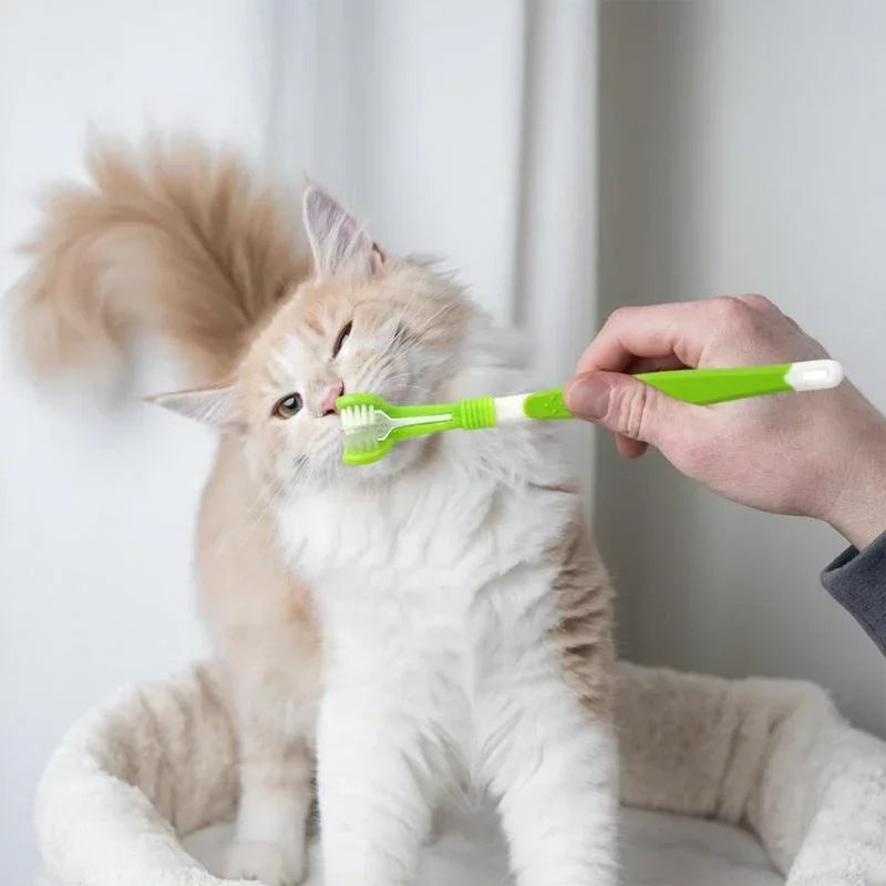 PawPlanet™ Denti – 3-Seiten-Zahnbürste