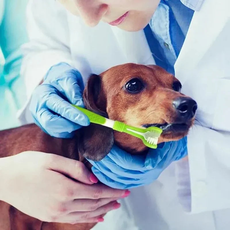 PawPlanet™ Denti – 3-Seiten-Zahnbürste