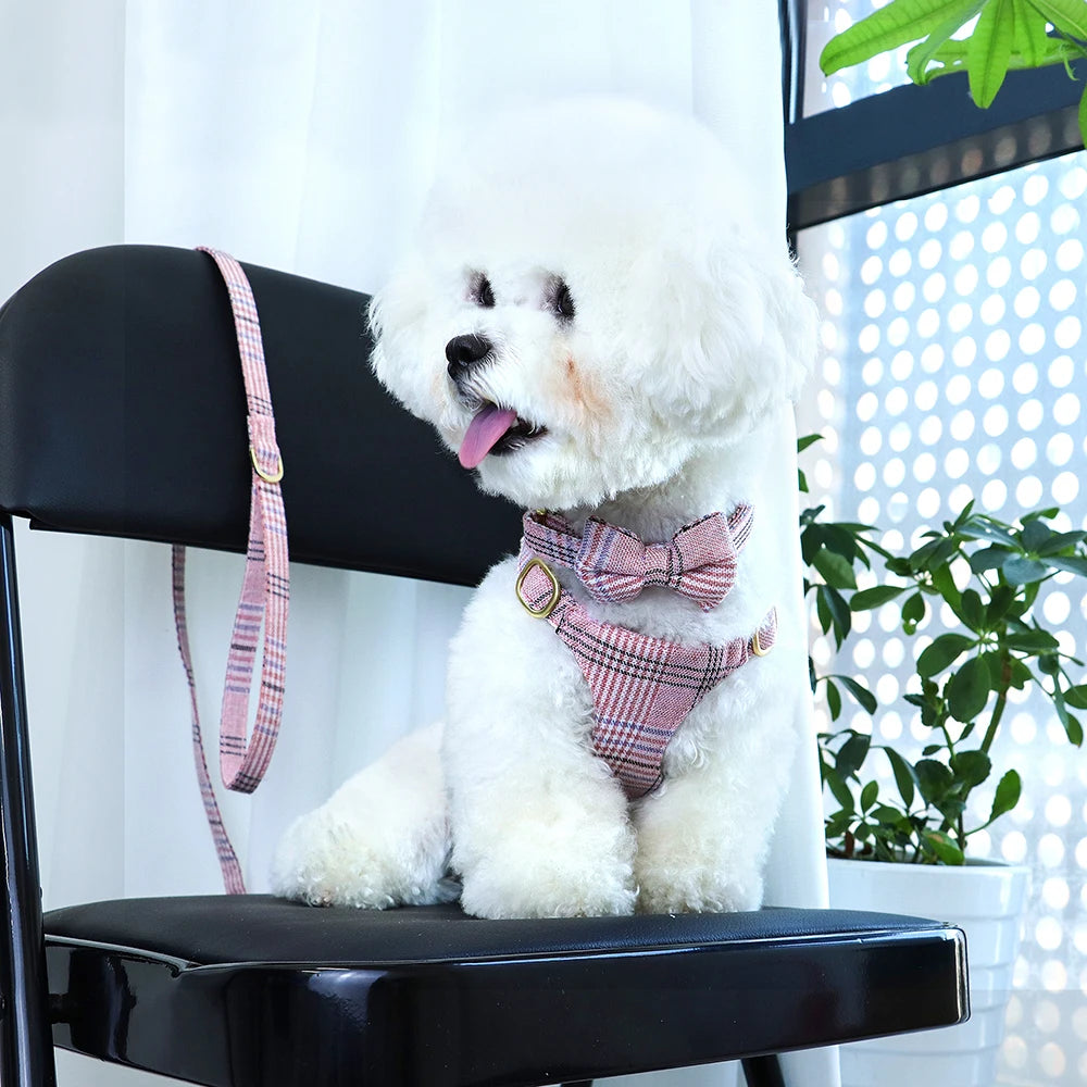 PawPlanet™ ChicWalk – Set aus Geschirr, Halsband & Leine mit Schleife