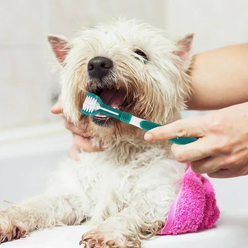 PawPlanet™ Denti – 3-Seiten-Zahnbürste
