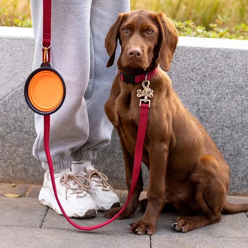 PawPlanet FlexiBowl – Faltbarer Reise-Napf