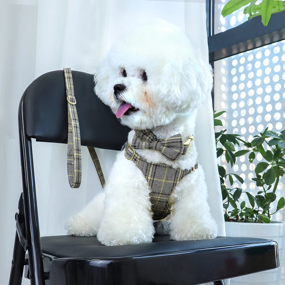 PawPlanet™ ChicWalk – Set aus Geschirr, Halsband & Leine mit Schleife