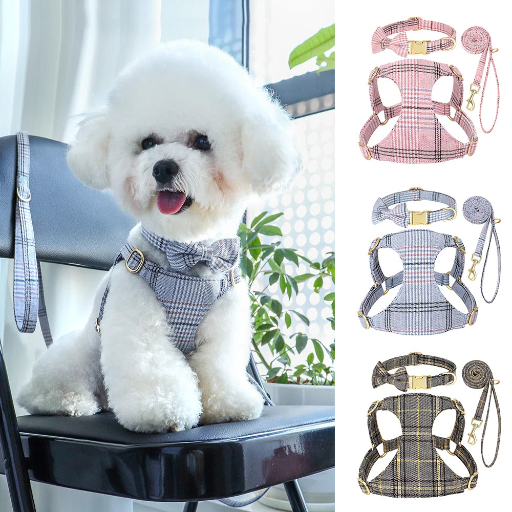 PawPlanet™ ChicWalk – Set aus Geschirr, Halsband & Leine mit Schleife