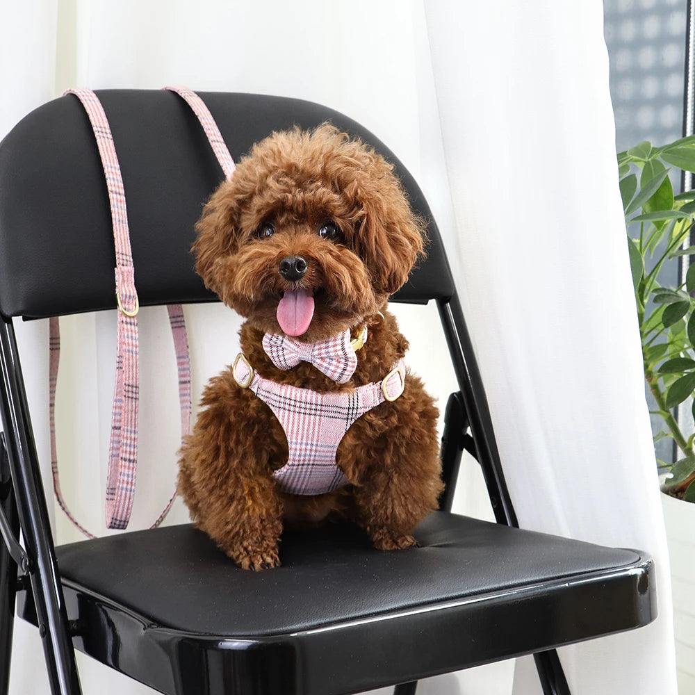 PawPlanet™ ChicWalk – Set aus Geschirr, Halsband & Leine mit Schleife