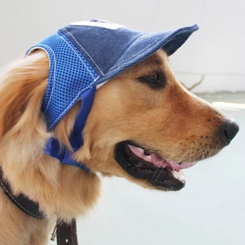 PawPlanet™ Capi – Stylische Hundekappe
