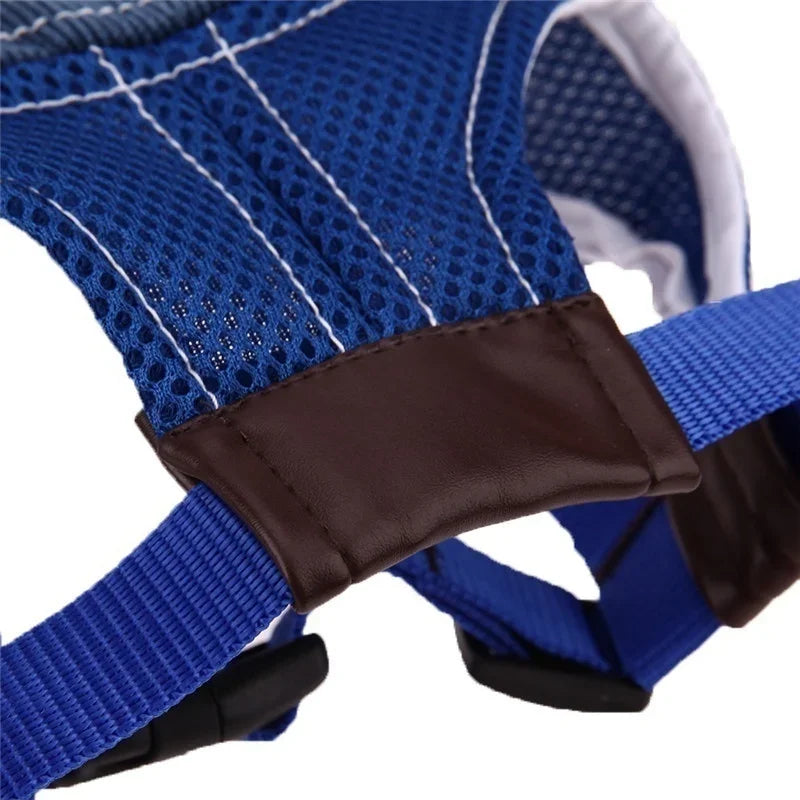 PawPlanet™ Capi – Stylische Hundekappe