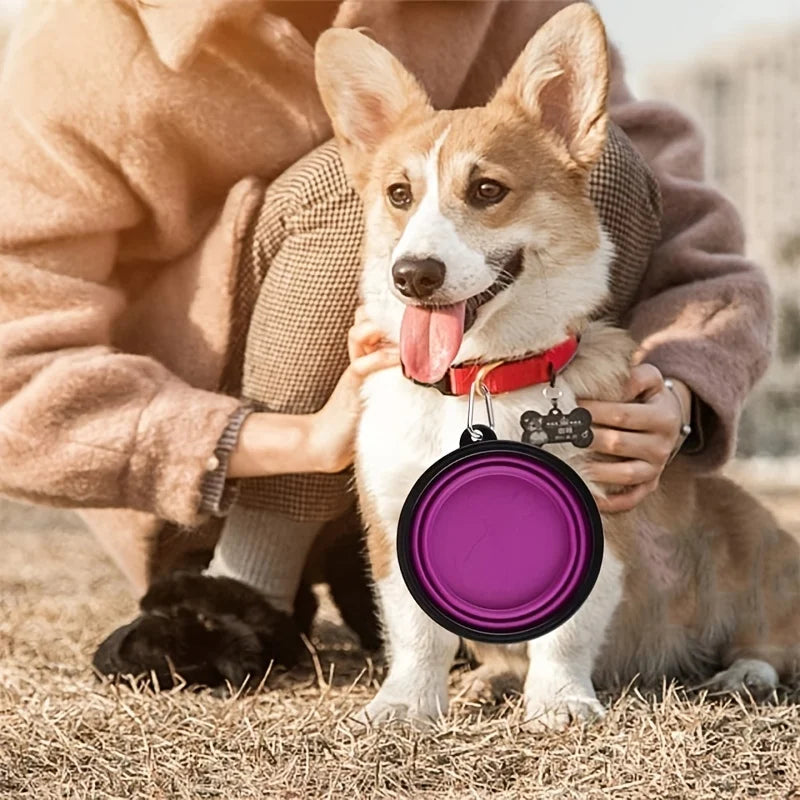 PawPlanet FlexiBowl – Faltbarer Reise-Napf