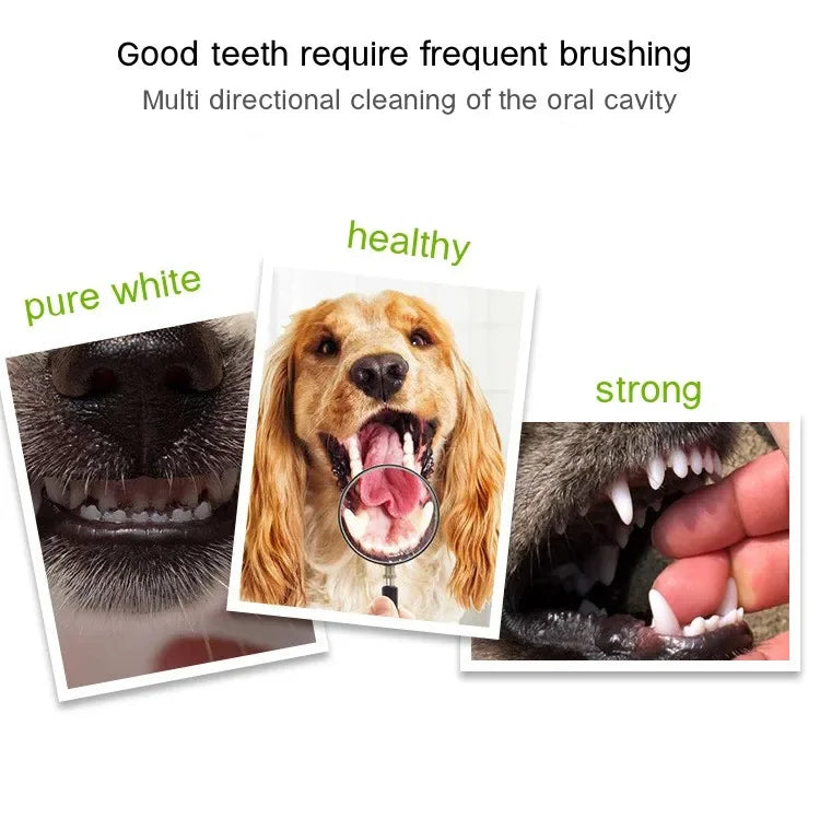 PawPlanet™ Denti – 3-Seiten-Zahnbürste