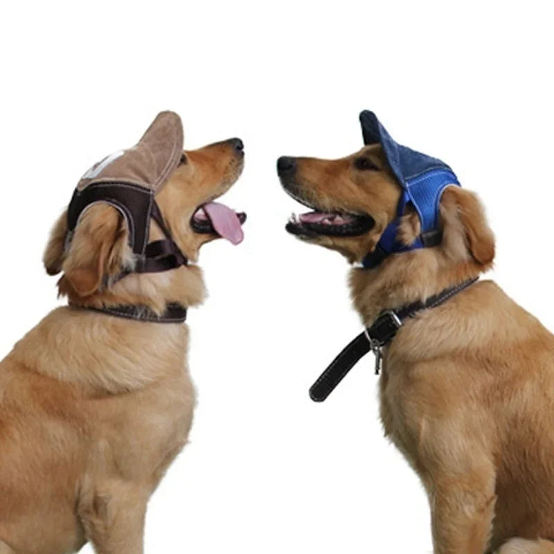 PawPlanet™ Capi – Stylische Hundekappe