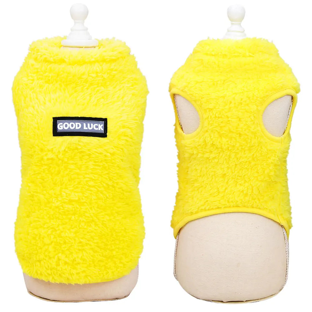 PawPlanet™ Cosy – Winterpulli