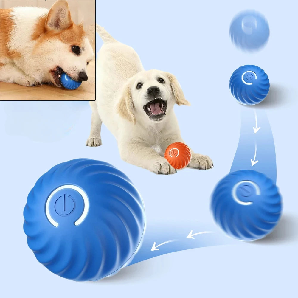 PawPlanet™ Rolli – Interaktiver Bewegungsball