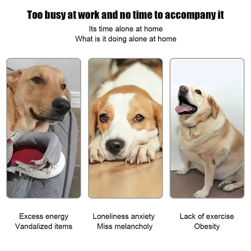 PawPlanet™ PlayMate Pro – Automatischer Ballwerfer für Hunde