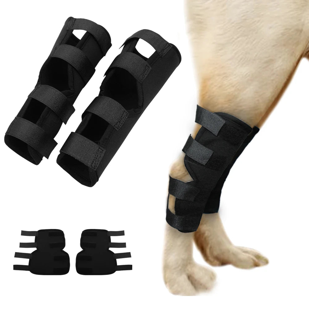 PawPlanet™ MoveOn – Gelenkbandage für Hunde