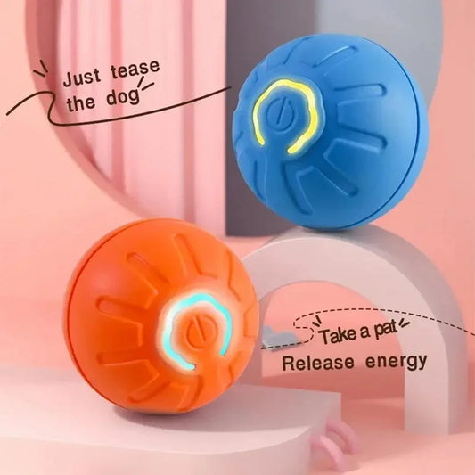 PawPlanet™ Rolli – Interaktiver Bewegungsball