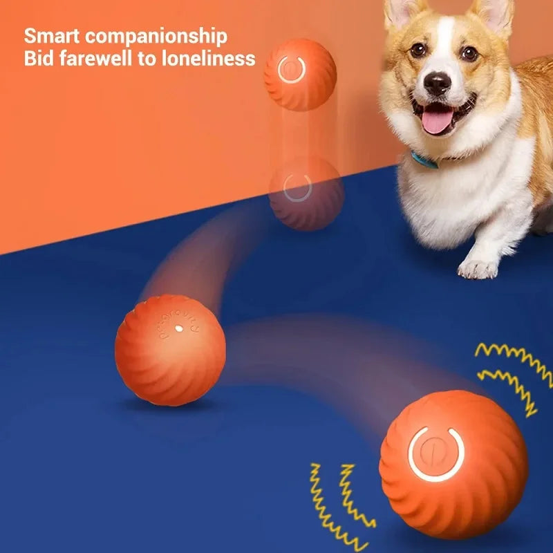 PawPlanet™ Rolli – Interaktiver Bewegungsball