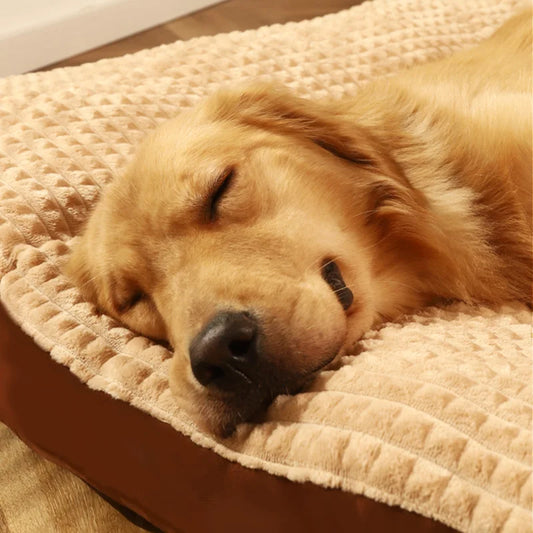 PawPlanet™ CuddleMat – Weiches Hundebett